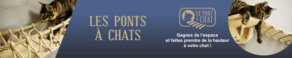 pont-a-chat