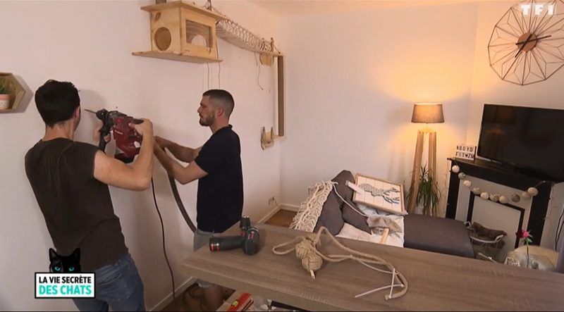 Le Pont A Chat Createur Francais D Accessoires Et Parcours Pour Chat