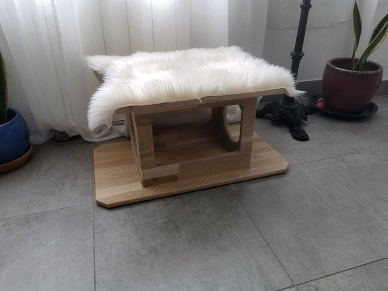 chatppartement-sol-cabane