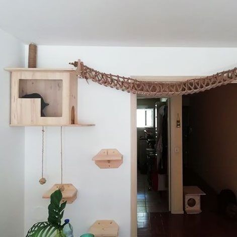 Accessoires Pour Chat Parcours Mural Ponts Cabanes Plateformes Accessoires Pour Chat Parcours Mural Ponts Cabanes Plateformes